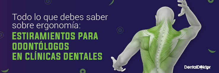 Todo lo que debes saber sobre ergonomía